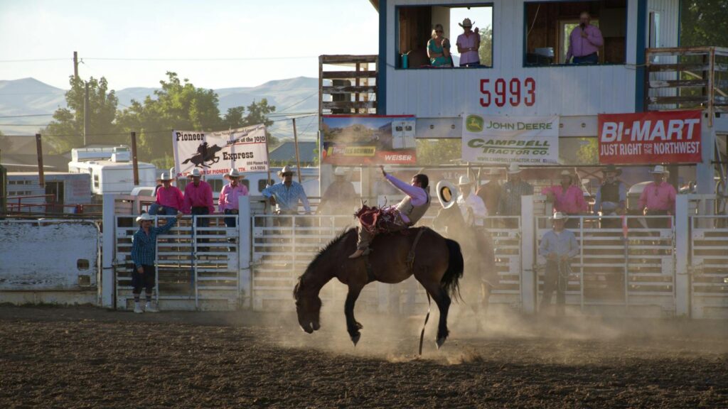 a cowboy skillfully riding a bucking horse in a lively outdoor