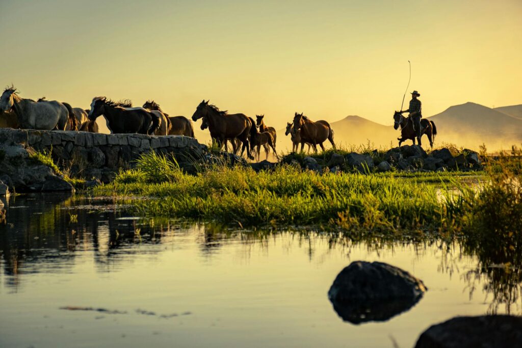Wrangler leading a herd of horses by a river at sunrise, capturing countryside charm and tranquility.