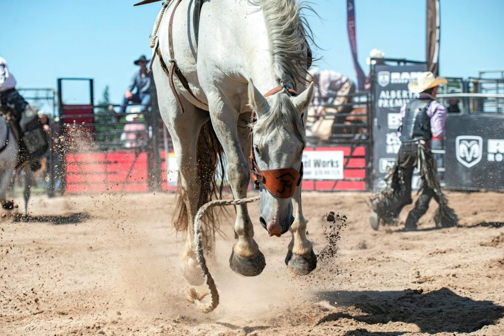 Horse mid-air with dust flying around