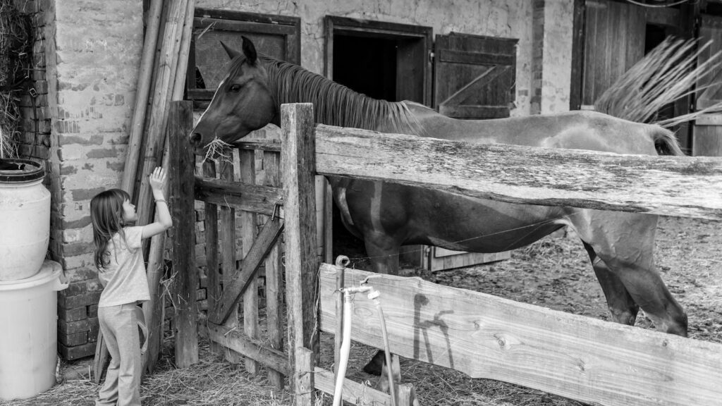 A child plays with a horse in a rural barn setting, showcasing farm life.