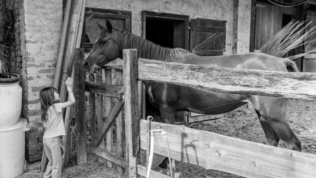 A child plays with a horse in a rural barn setting, showcasing farm life.