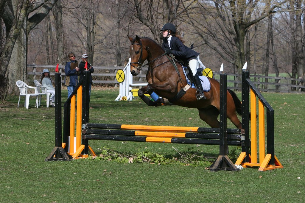 Horse jumping obstacles
