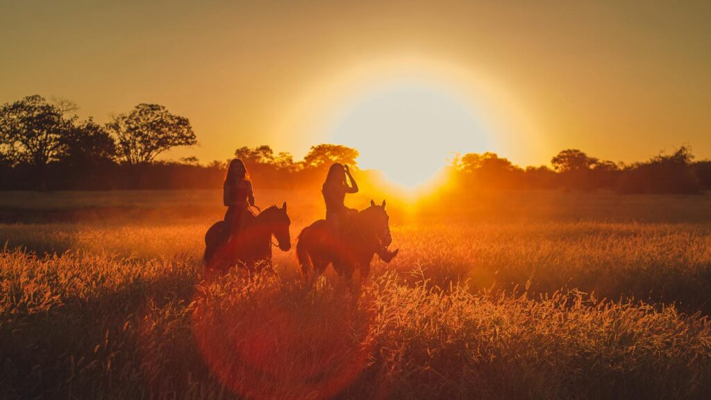 Two people riding horses in a golden field during sunrise, creating a silhouette effect.