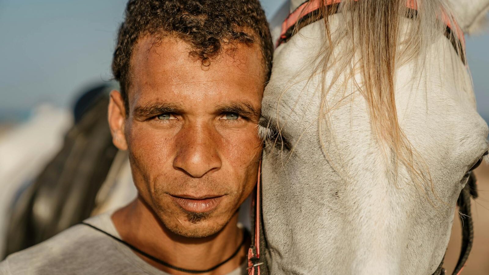a man with a white horse in Dahab, Egypt, showcasing their connection.