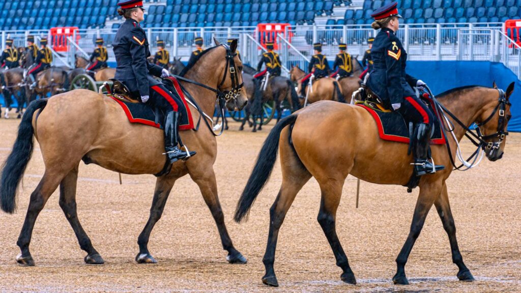 British ceremonial cavalry with riders on horseback at the Horse Guards Parade, London, UK.