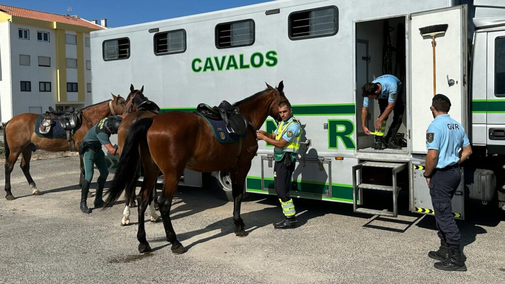 Police officers prepare their horses for an event in A dos Cunhados, Lisboa.