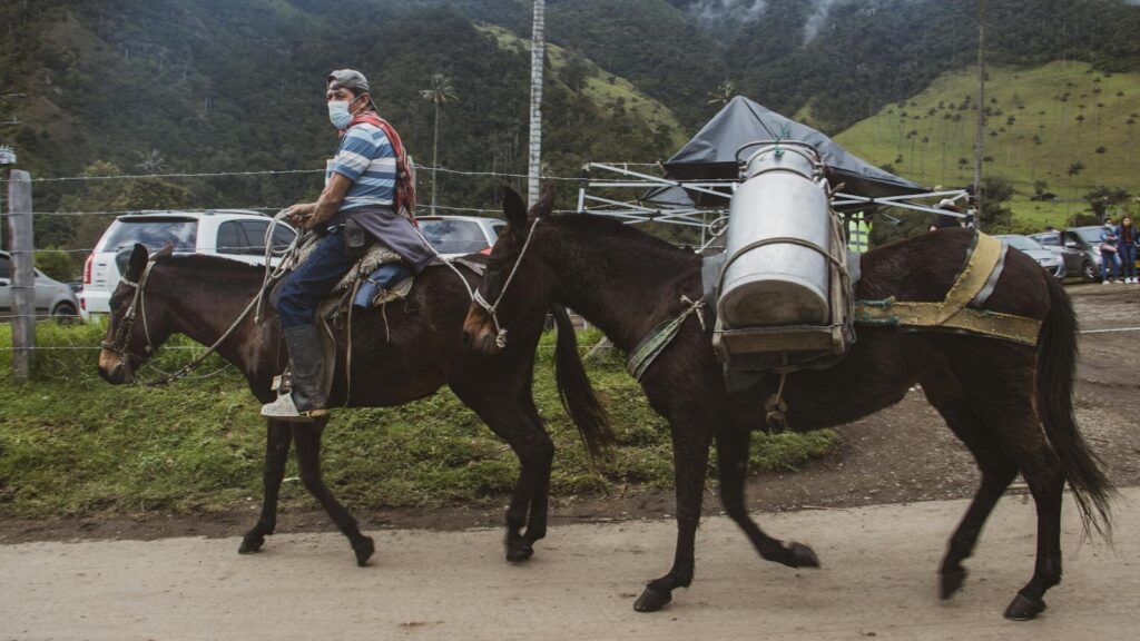 A man wearing a mask rides a horse with a pack mule beside him on a rural road in a mountainous area.