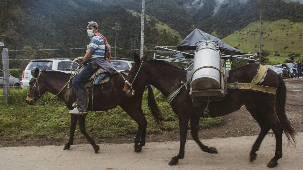 A man wearing a mask rides a horse with a pack mule beside him on a rural road in a mountainous area.