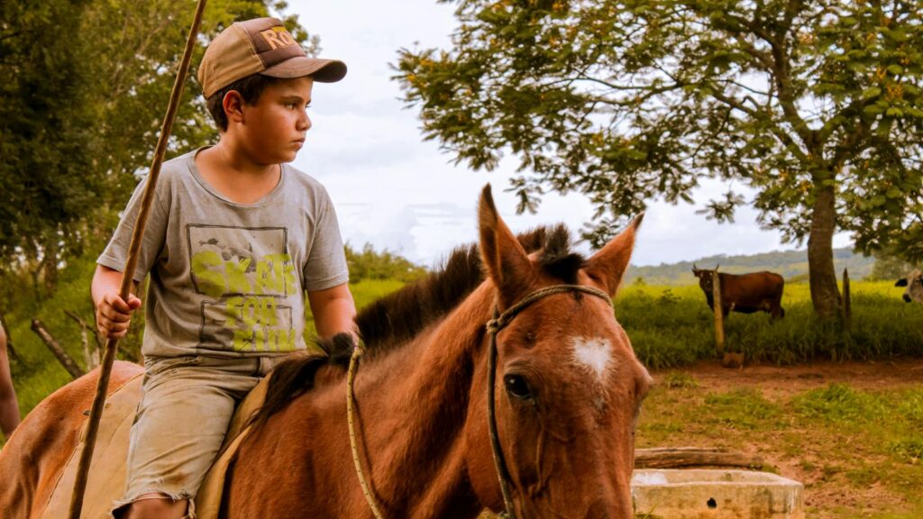 A boy rides a horse on a farm, showcasing rural life and nature.