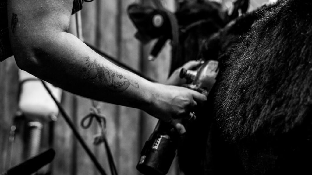Close-up of a tattooed hand grooming a horse with clippers in a rural barn setting.
