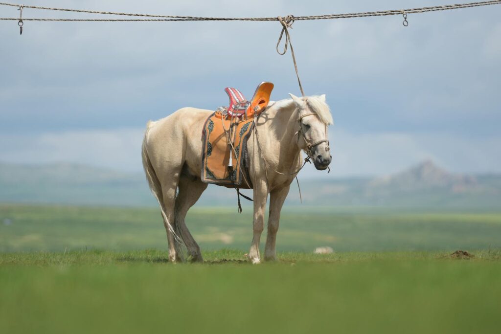 A regal white horse with a saddle stands alone in a vast, open landscape under a clear sky.