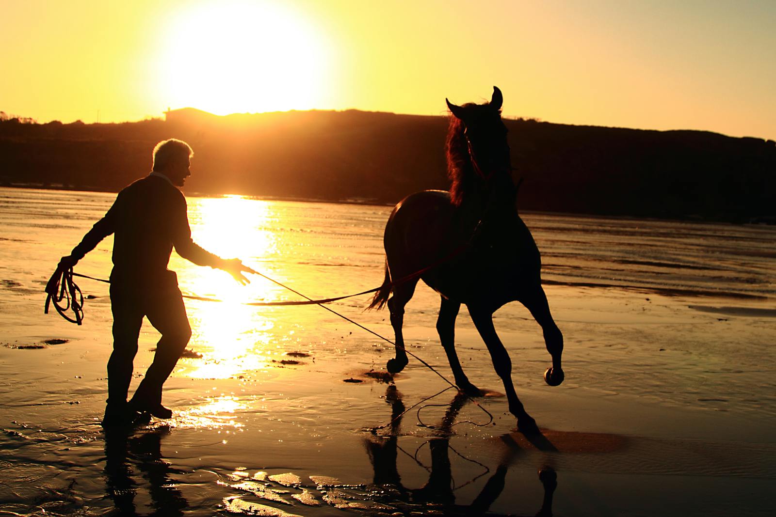 Silhouette of a man walking a horse on a beach