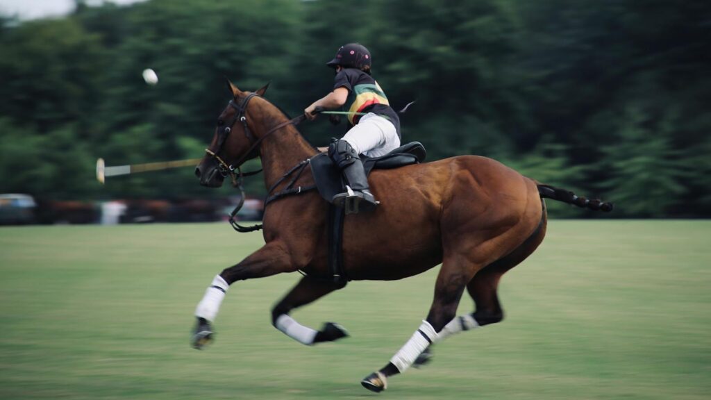 An intense polo match capturing a rider skillfully maneuvering a galloping horse.