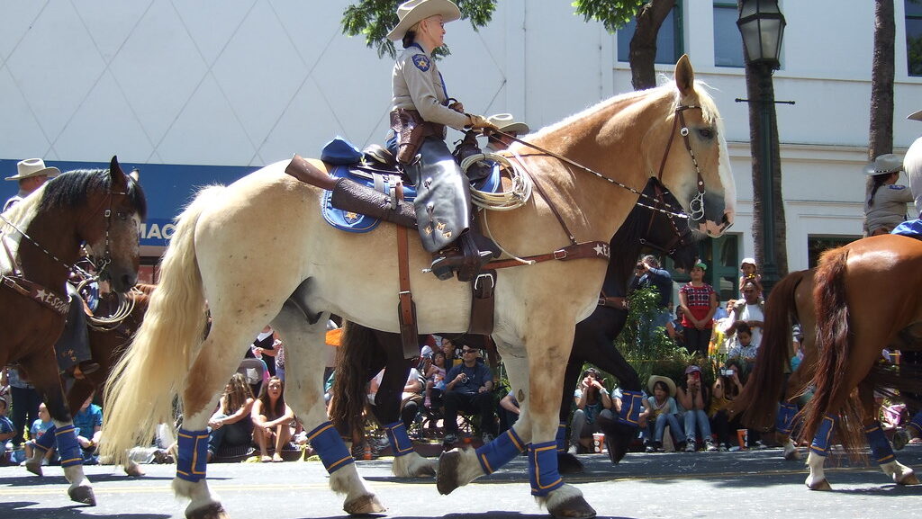 A person riding a light borwn horse