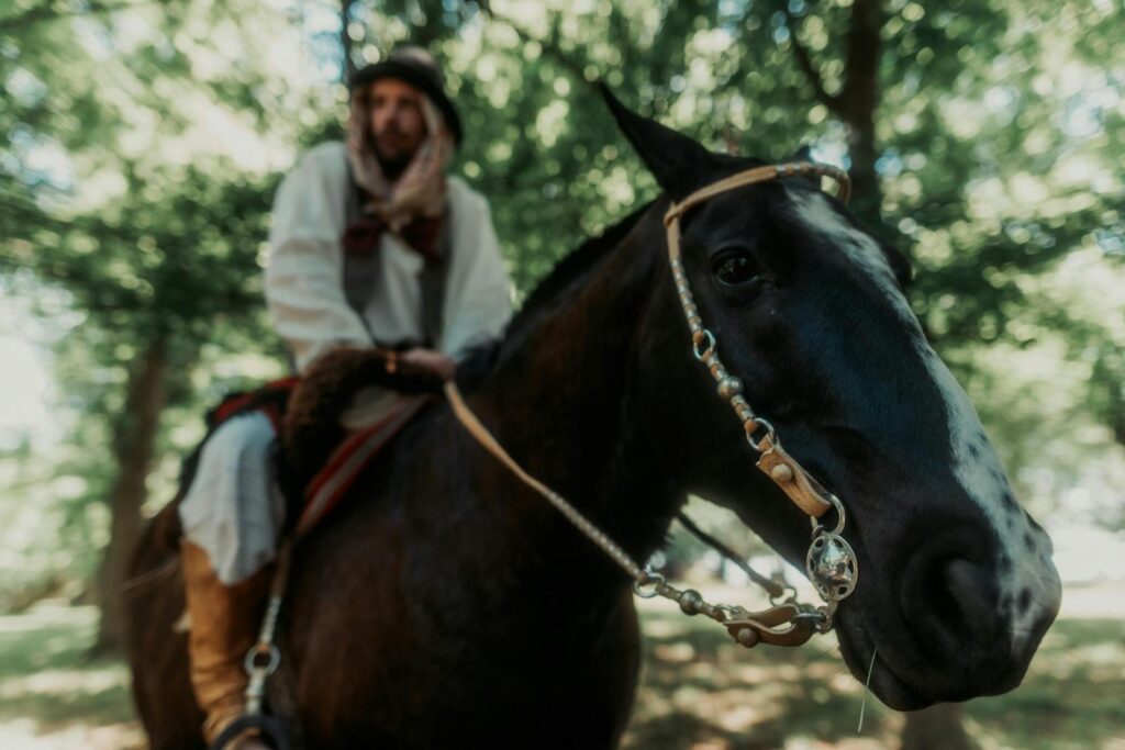 Man riding a horse in a wooded area