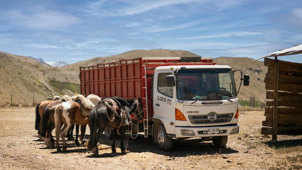 Horses tied to a truck in a rural mountain landscape under a clear sky.