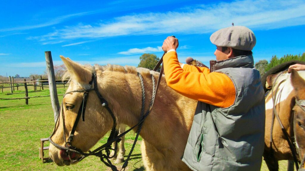 man in gray jacket and brown pants standing beside brown horse during daytime
