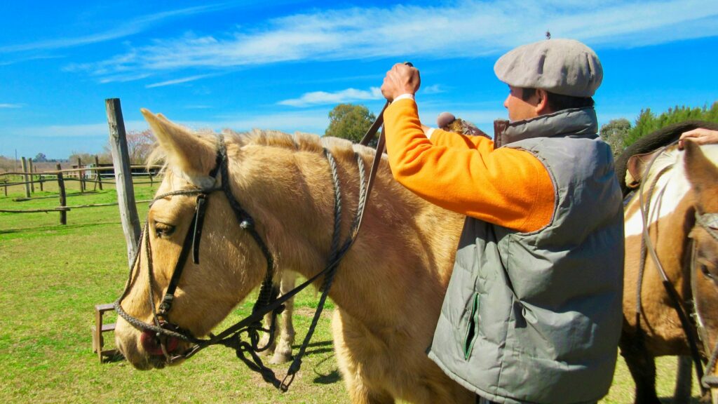 man in gray jacket and brown pants standing beside brown horse during daytime