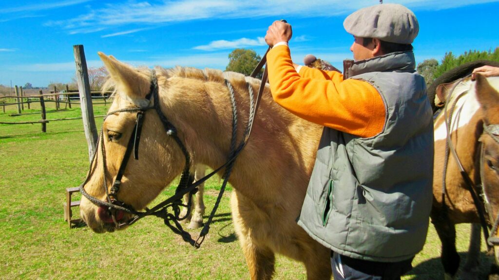 man in gray jacket and brown pants standing beside brown horse during daytime