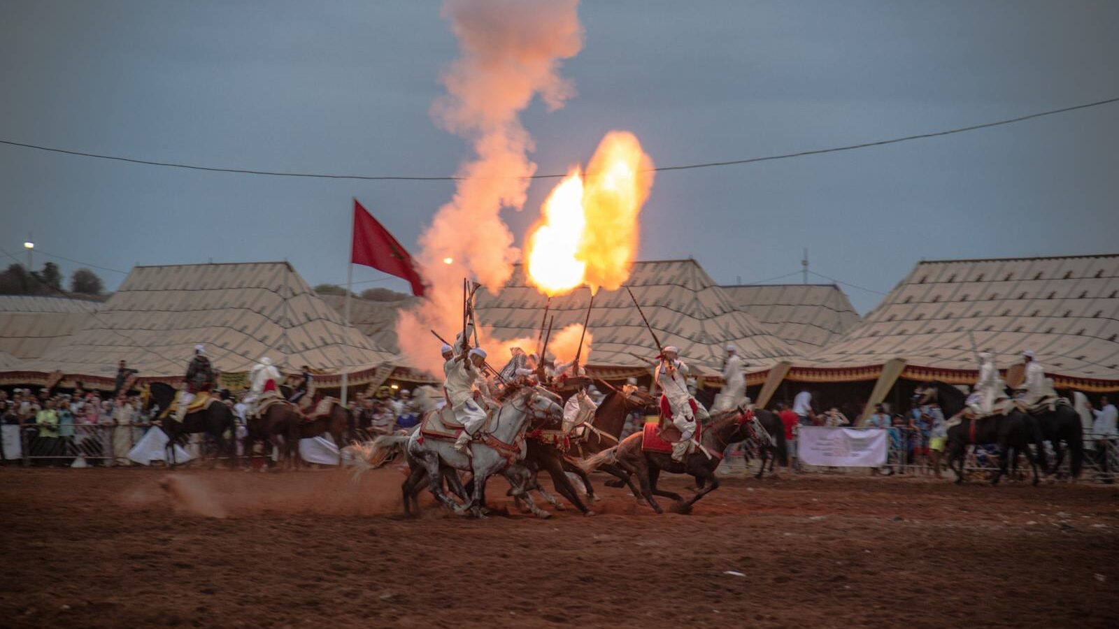 Dynamic display of Moroccan horsemanship during a fantasia event in Rabat, Morocco.