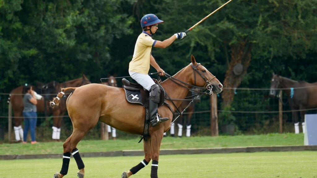 Dynamic shot of a polo player striking the ball during a match on a grassy field.