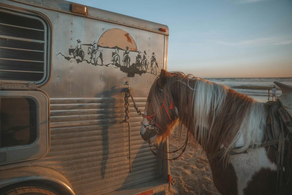 Horse resting next to a decorated trailer