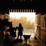 Silhouetted figures with horses in barn at sunrise
