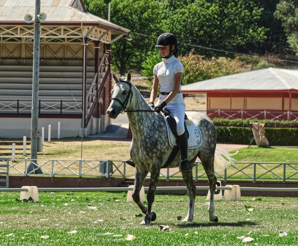 Equestrian attire riding a horse in an outdoor arena in a sunny day
