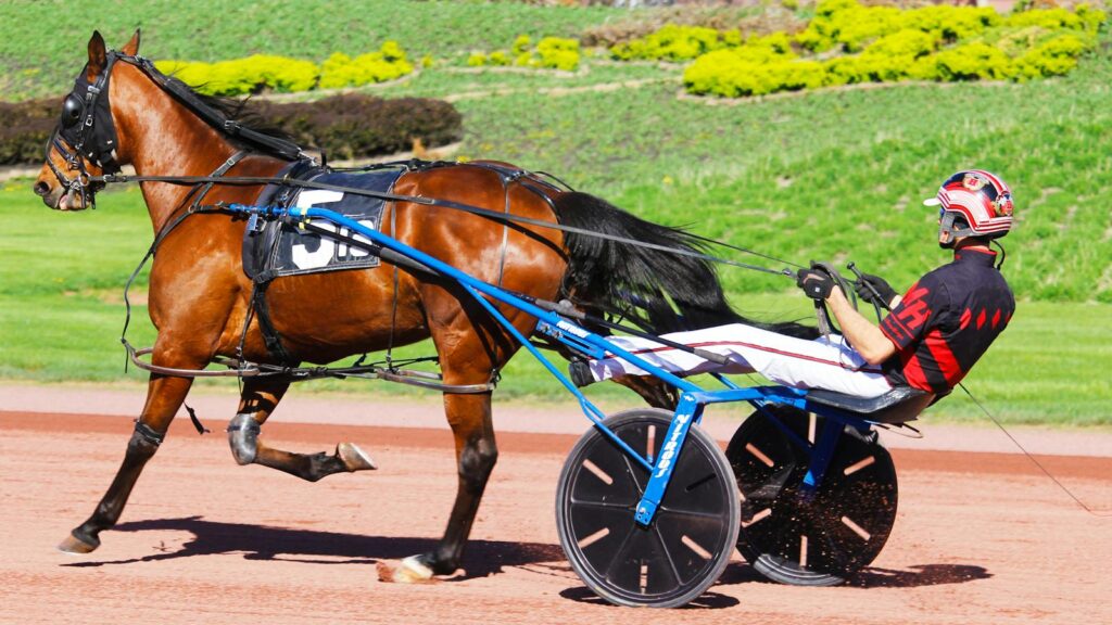 Dynamic image of a harness racing horse with a jockey in action on a sunny day.