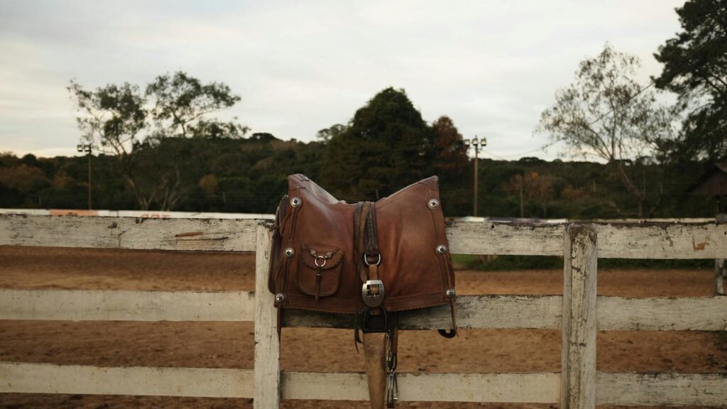 horse equipment