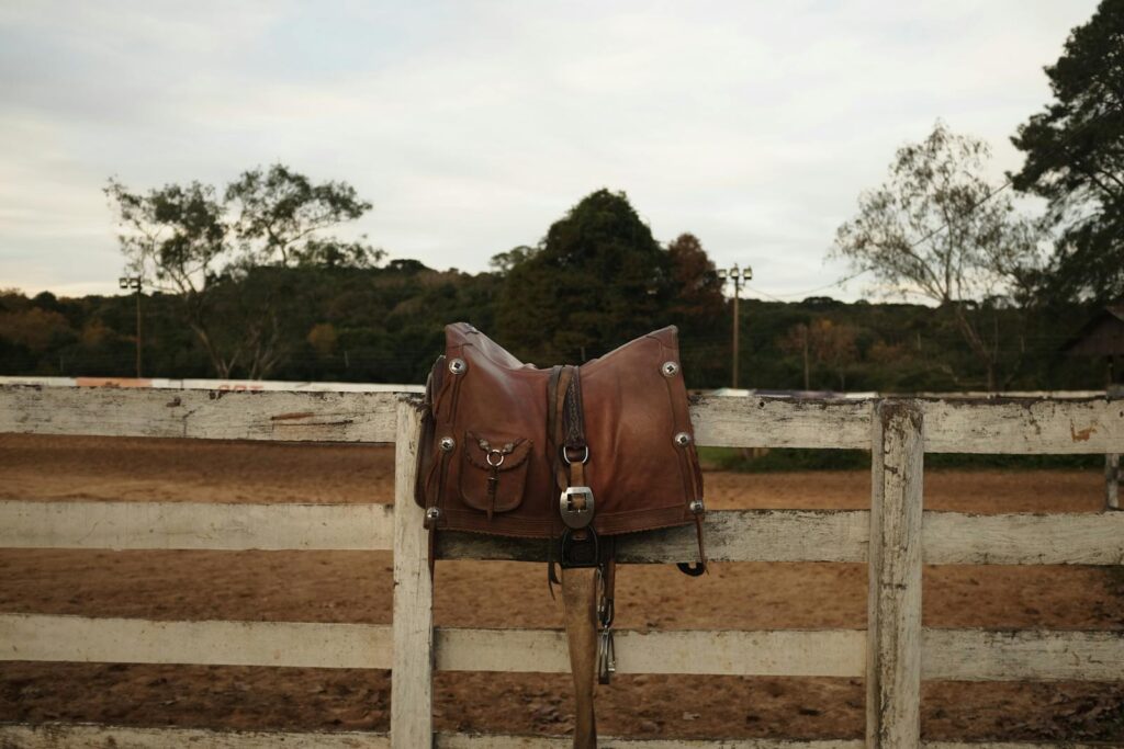 Saddle pad display