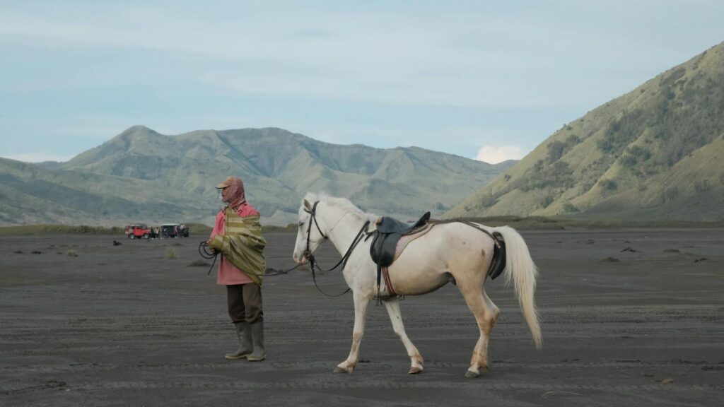 WHITE HORSE