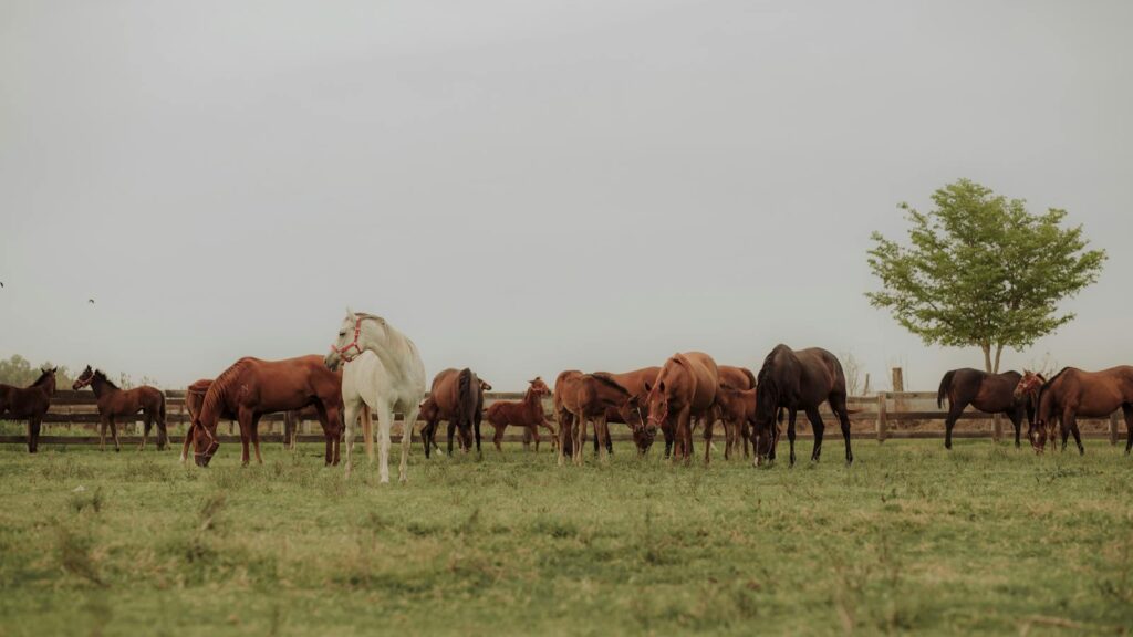 A tranquil countryside scene with a group of horses grazing in a lush green field.