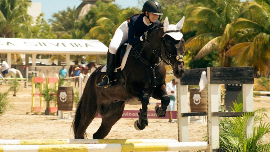 Horse and rider jumping at an equestrian event in sunny Mérida, Mexico.