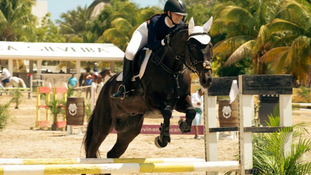 Horse and rider jumping at an equestrian event in sunny Mérida, Mexico.