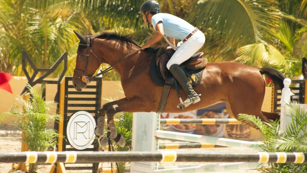 horse jump