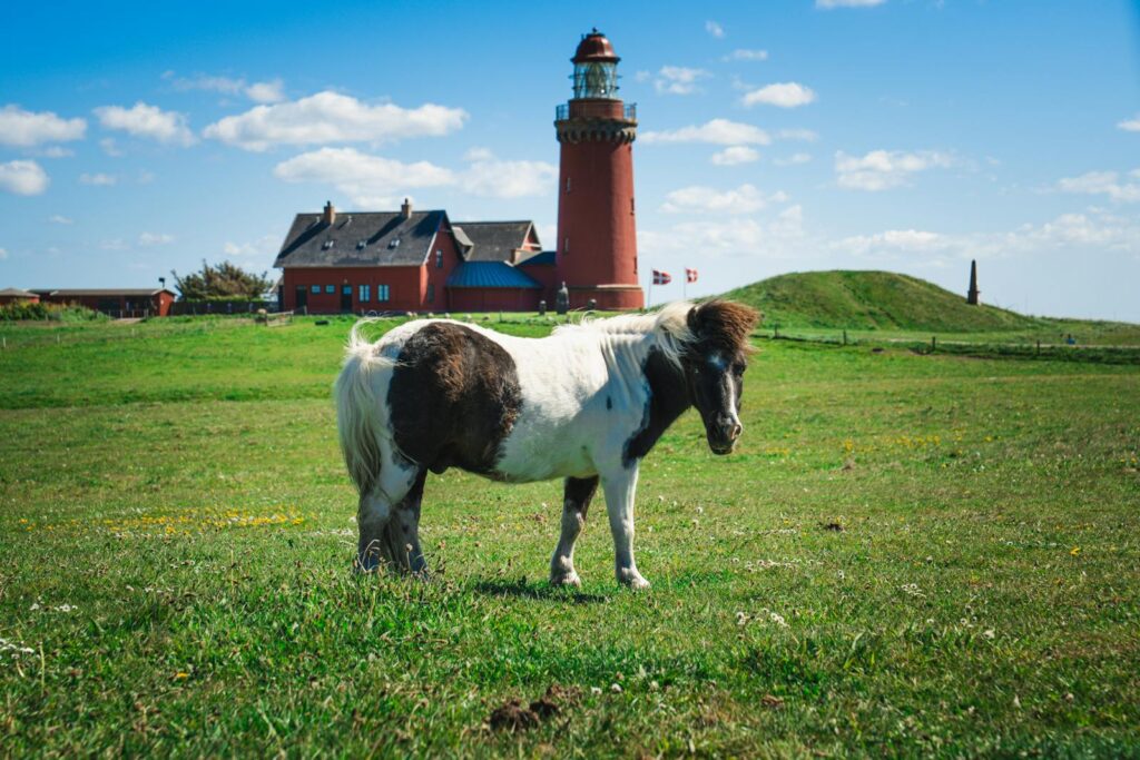 Pony grazes in front of a historic red lighthouse