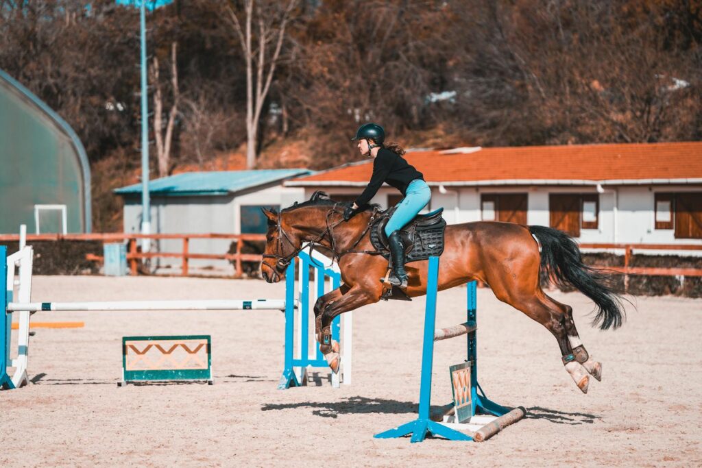 A female equestrian jumping hurdles during a sunny day in a horse riding arena.
