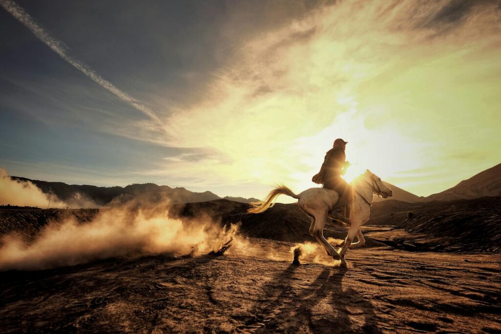 Horse running with rider