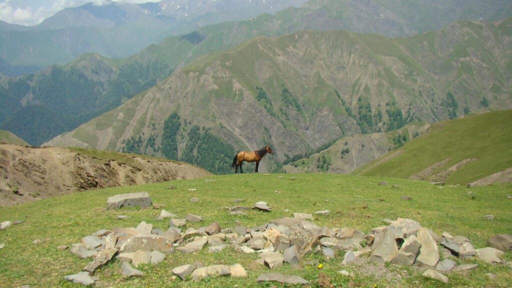 A solitary horse stands on a green hill with majestic mountains in the background.