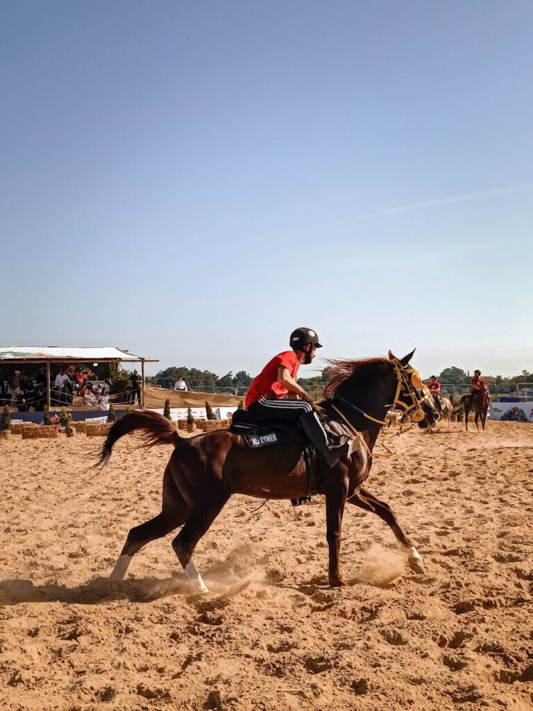 Dynamic scene of a horse rider in action at an equestrian event, showcasing speed and skill.