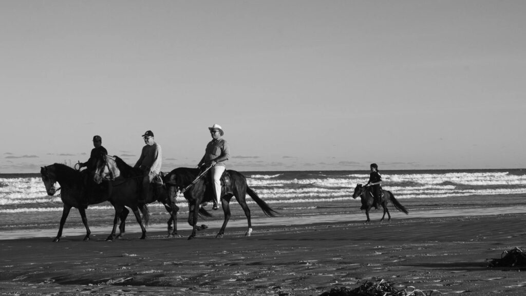 Free stock photo of aracaju, beach, black and white