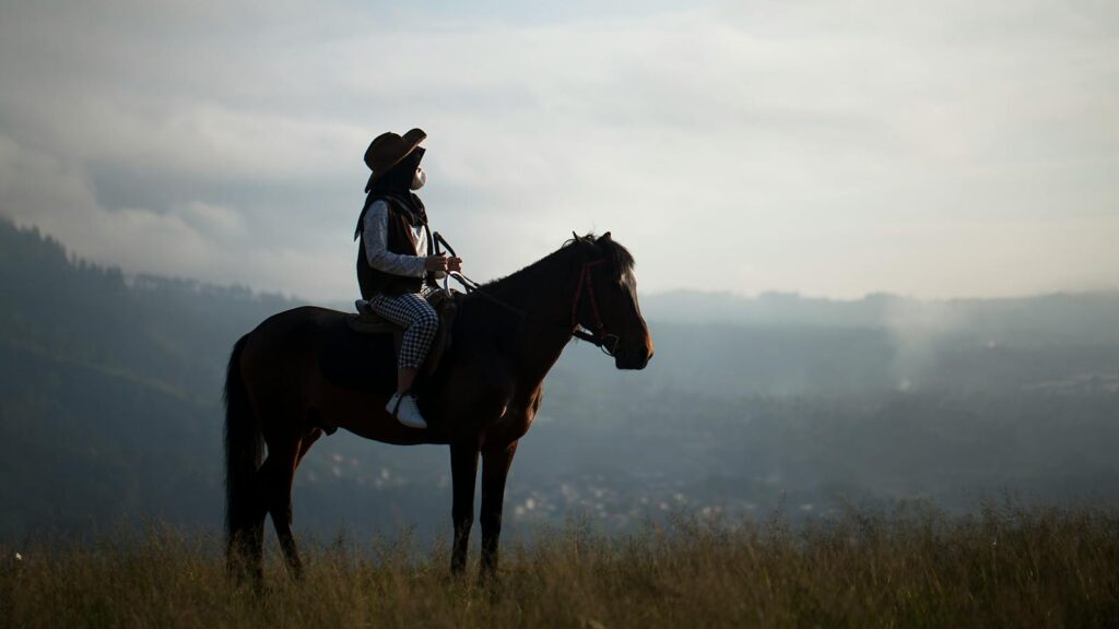 a horse with a rider