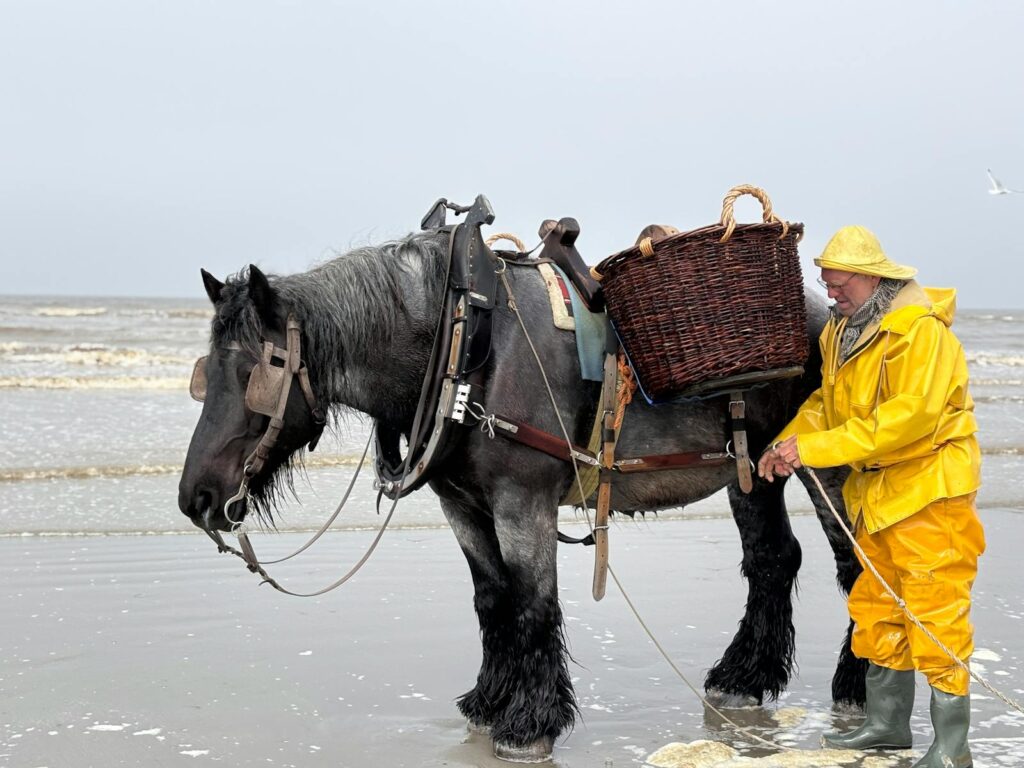 Fisherman and Horse by the Sea