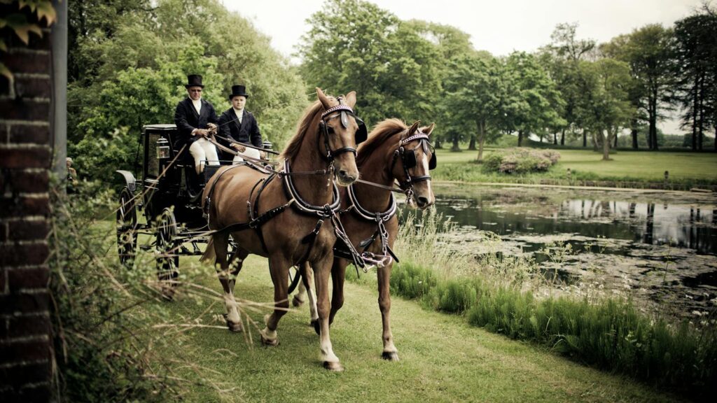 A classic horse-drawn carriage traverses a serene park landscape, ideal for countryside adventures.