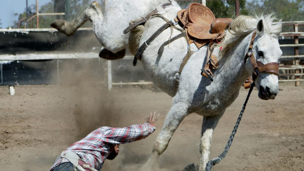 Action-packed rodeo moment with a cowboy falling off a bucking white horse in an outdoor arena.