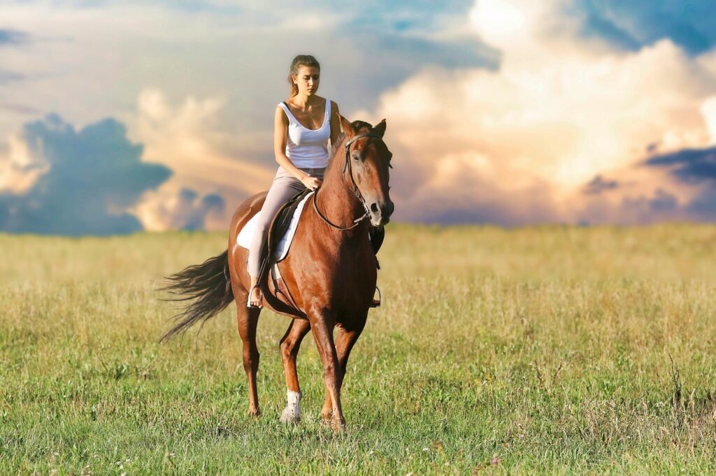 Woman, nature, horseback riding, field, horse, jockey, pasture, outdoors, caucasian