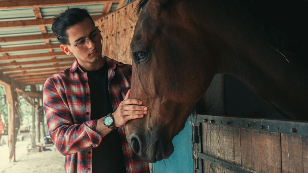 A man cares for a horse in an Istanbul stable, showcasing animal-human connection.