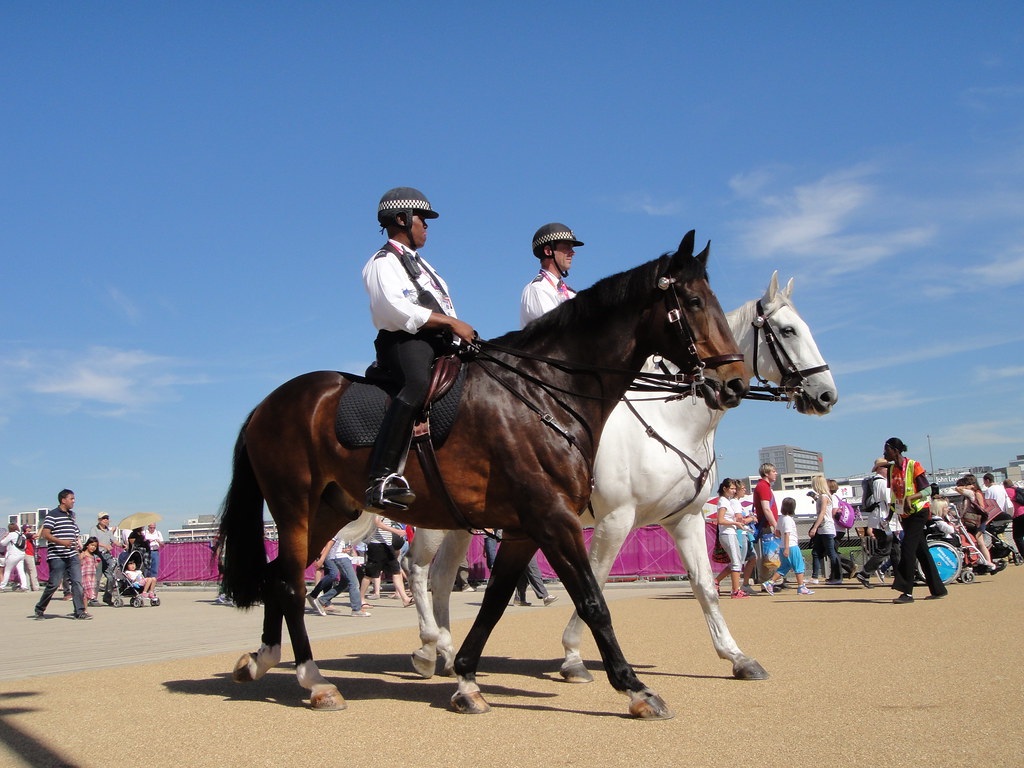 Police horse patrol
