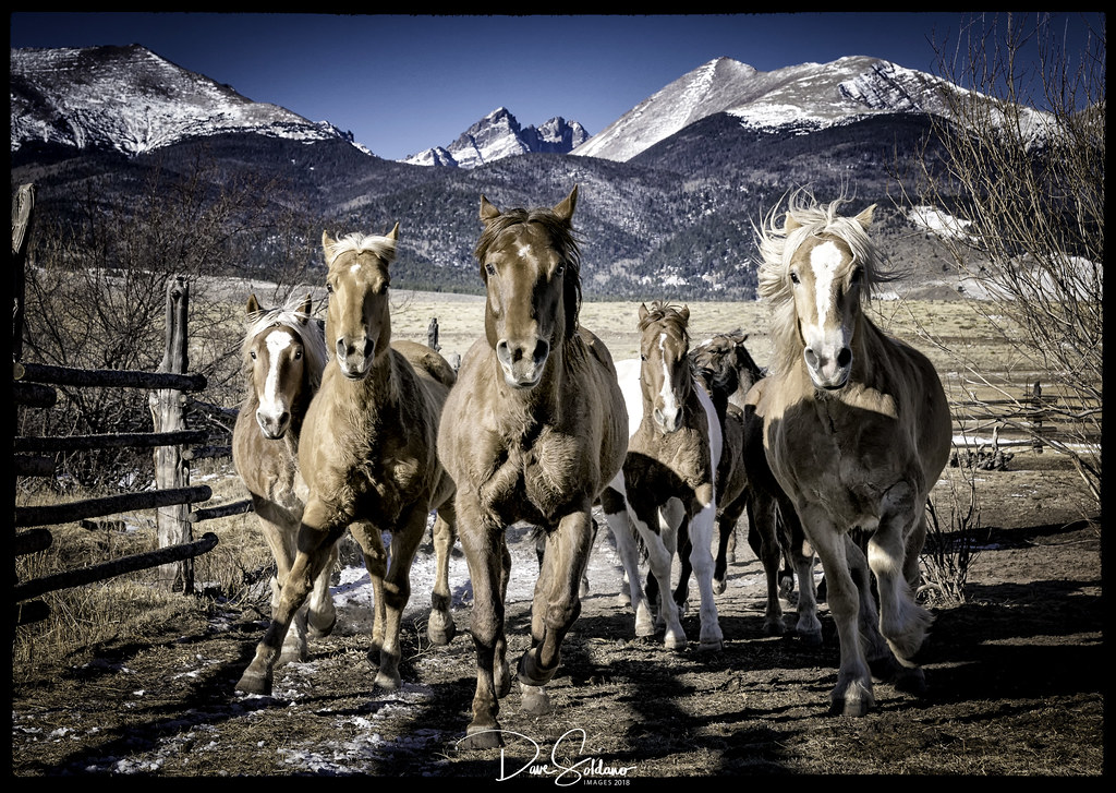 Colorado Horse Ranch